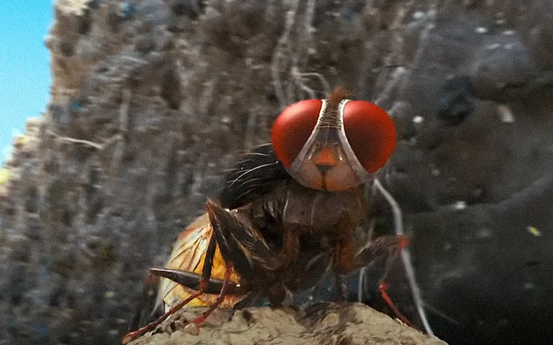 Eega (2012)