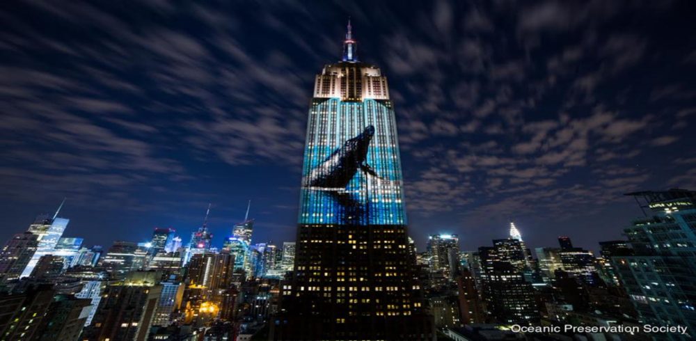 Racing Extinction (2015)