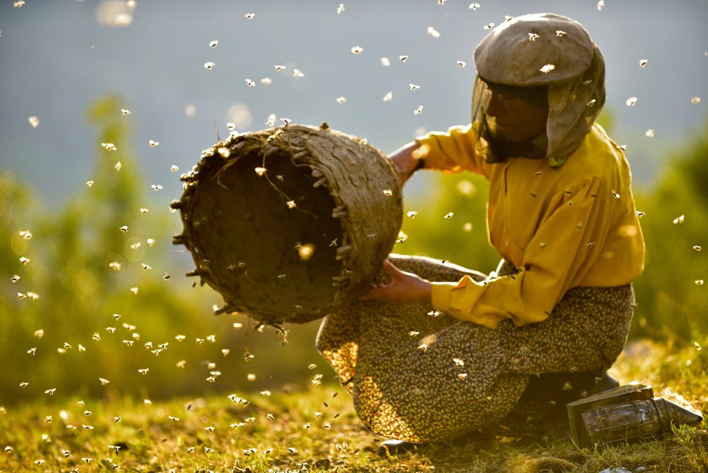 Honeyland (2019)