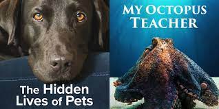 Best Animal Documentaries On Netflix