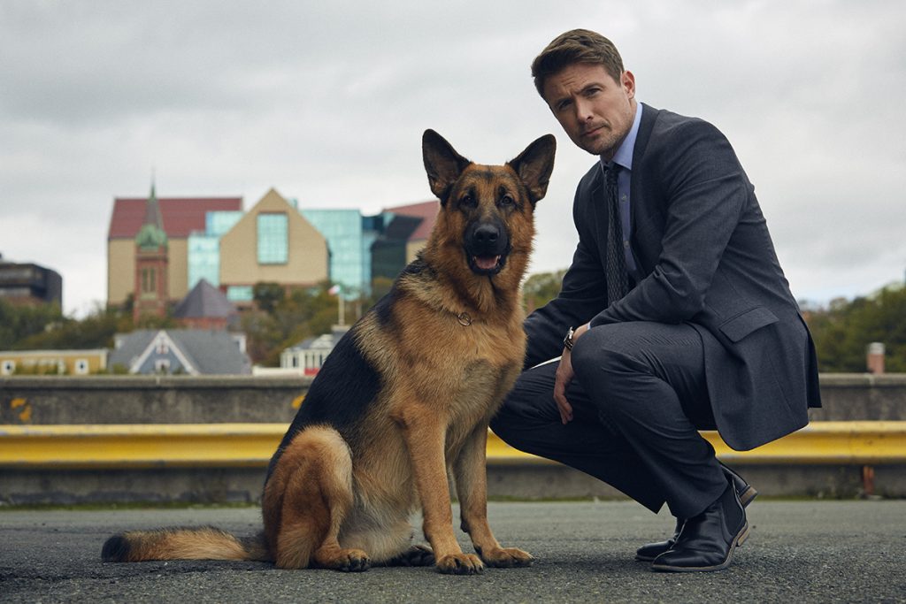 hudson and rex season 6 release date