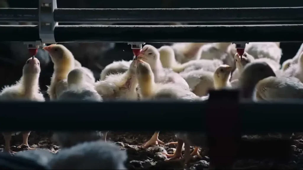 where to watch Poisoned: The Dirty Truth About Your Food