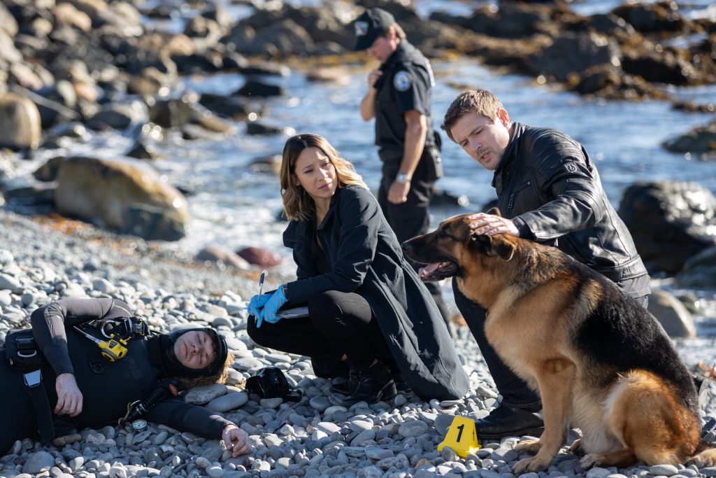 hudson and rex season 6 release date