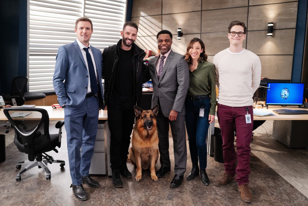 hudson and rex season 6 release date