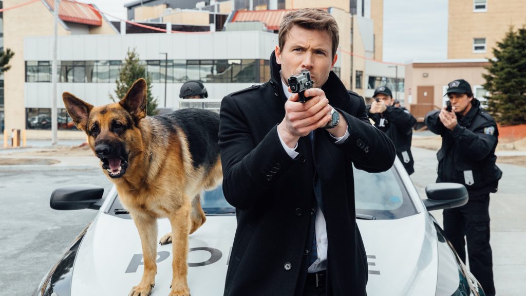 hudson and rex season 6 release date