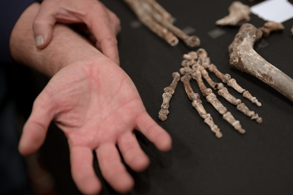 Unknown: Cave of Bones Available on Netflix