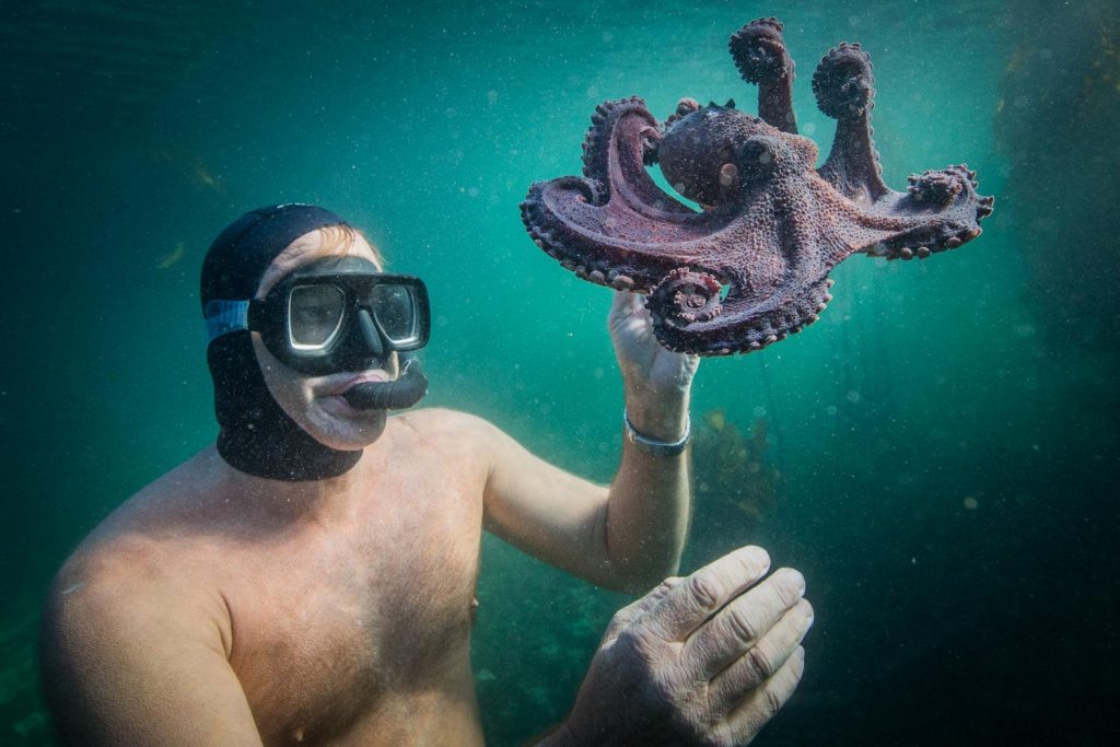 My Octopus Teacher (2020)