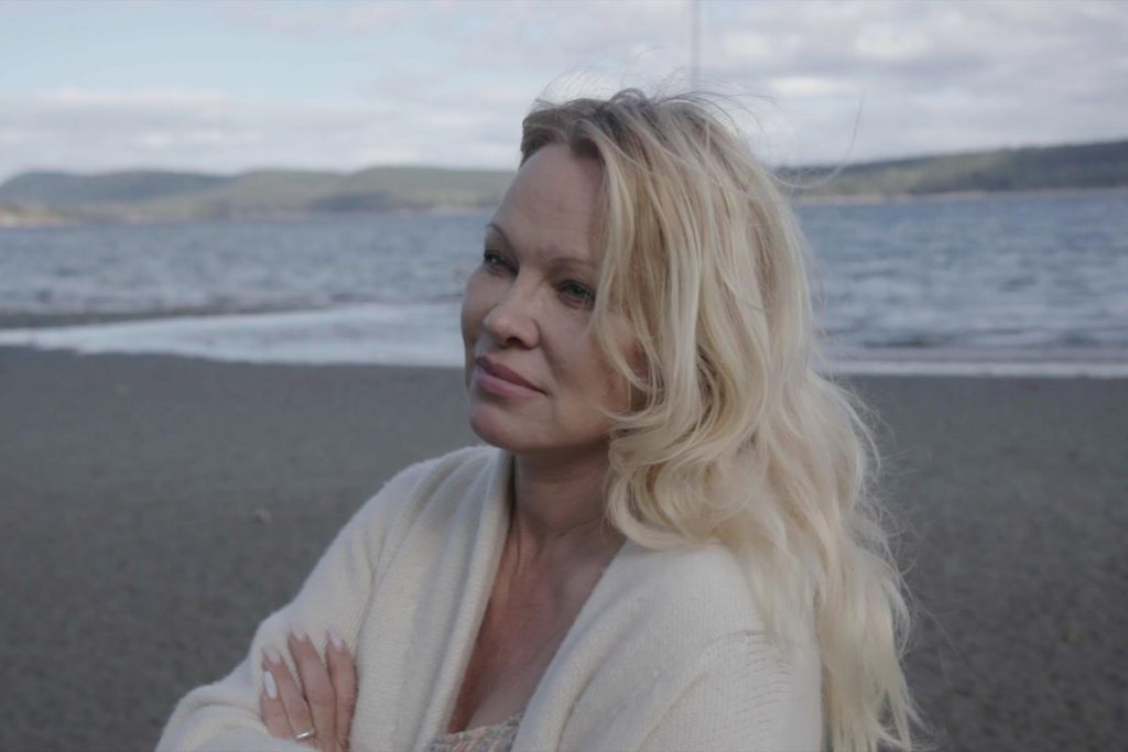 Pamela, A Love Story