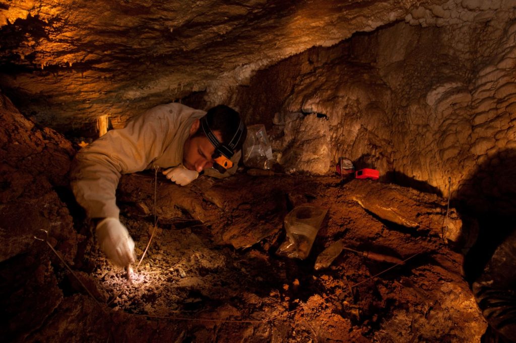 Cast of Unknown: Cave of Bones