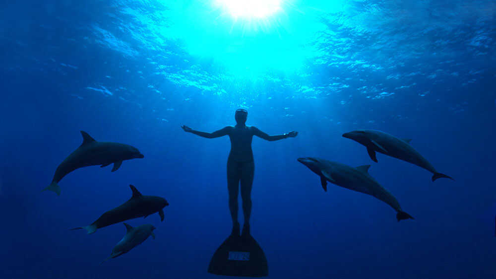 The Cove (2009)