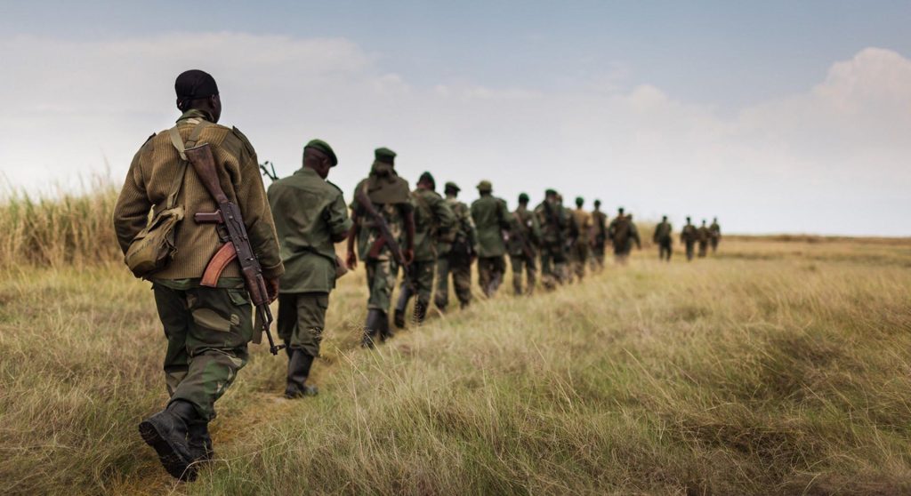 Virunga (2014)