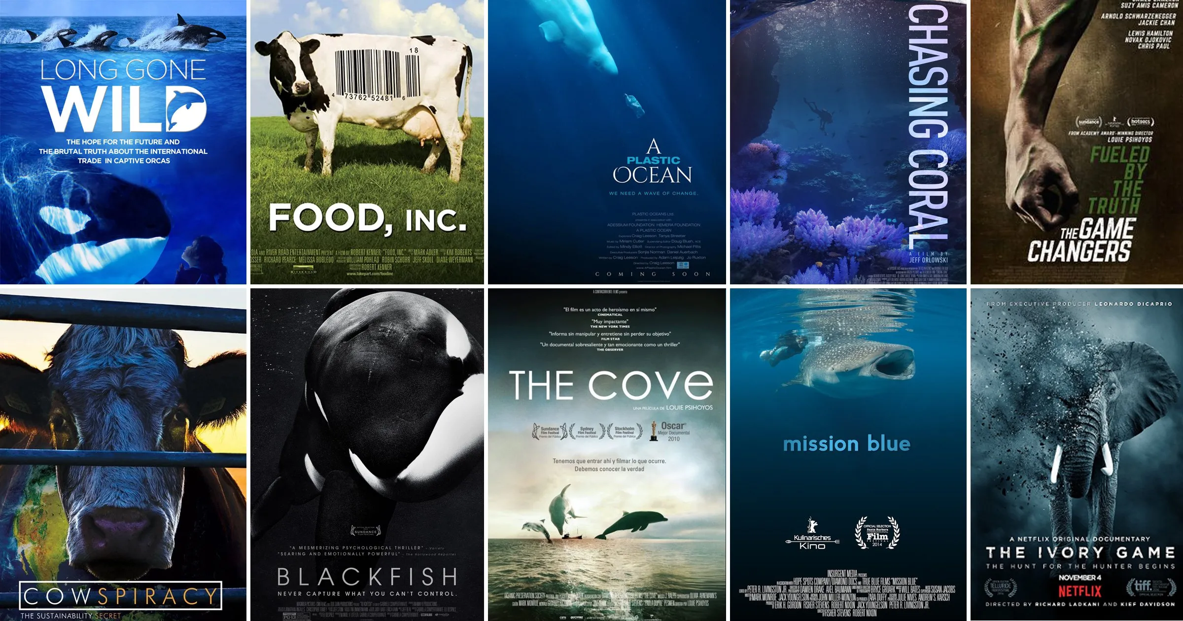 Best Environmental Documentaries On Netflix
