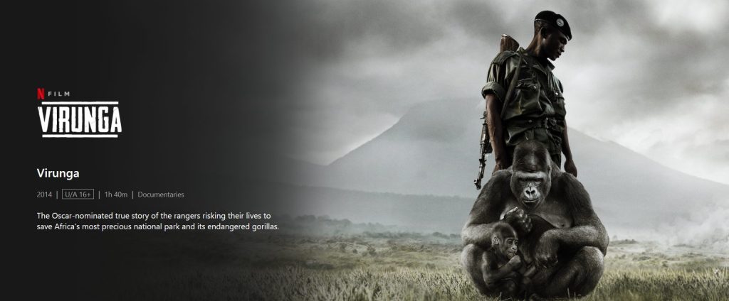 20+ Best War Movies on Netflix