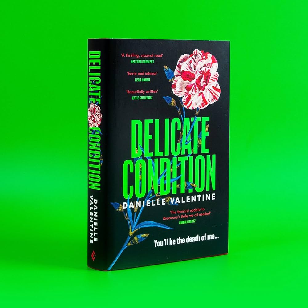 Delicate Condition Ending Explained A Deep Dive Analysis Bigflix