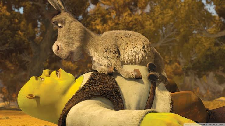 shrek 5 release date