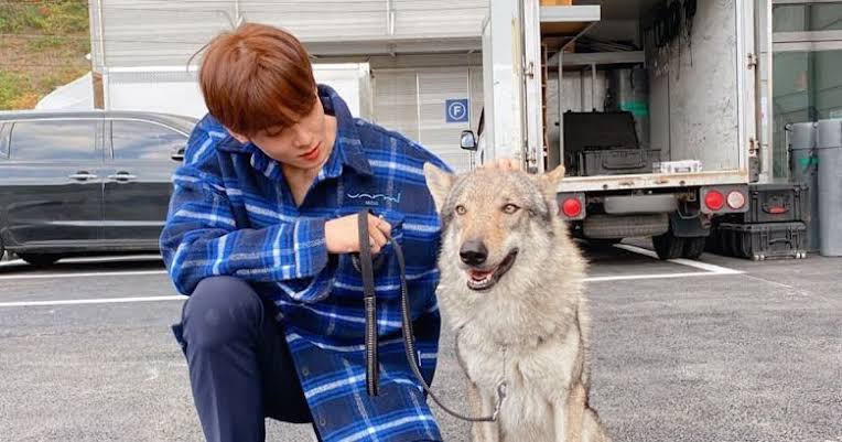a good day to be a dog episode 8 release date