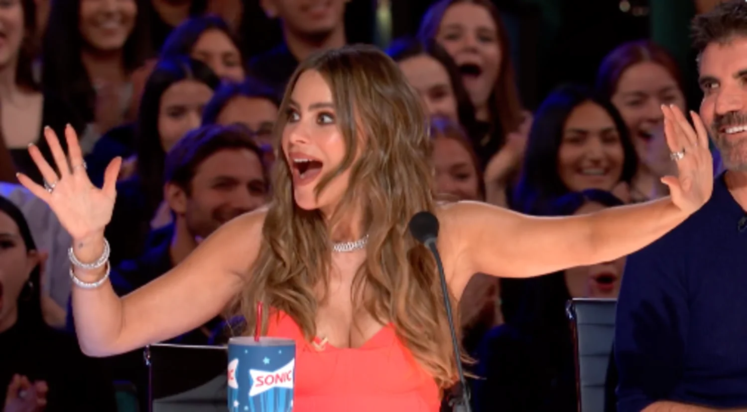What Happened To Sofia Vergara on Agt? Bigflix
